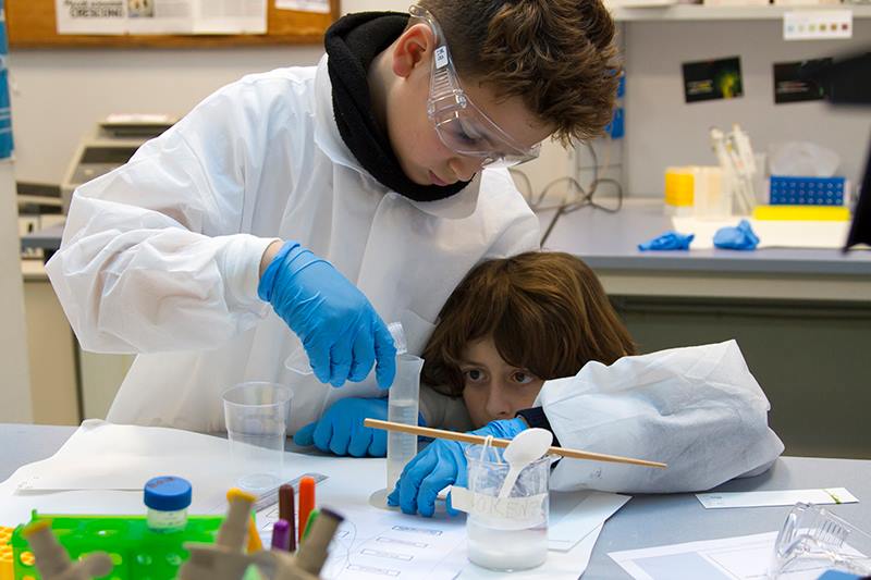 ICS International School Milan tweet media