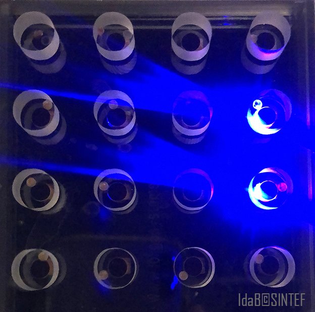 di_tail's tweet photo. Preparing for #fishexperiments! Linn and Julia are testing the Loligo microplate oxygen system for #respirometry using lumpsucker eggs from the #PWexposed
 project #science #forskning https://t.co/YKPOMuMbrJ