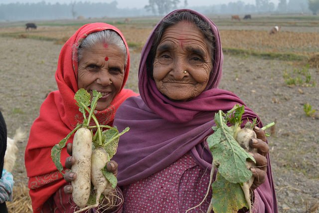 Canadian Foodgrains Bank tweet media