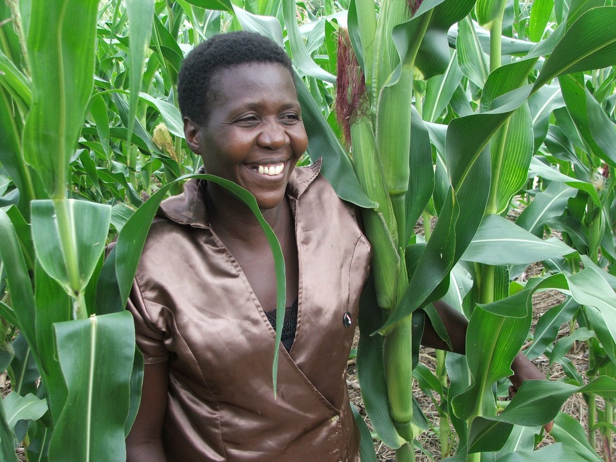 Canadian Foodgrains Bank tweet media