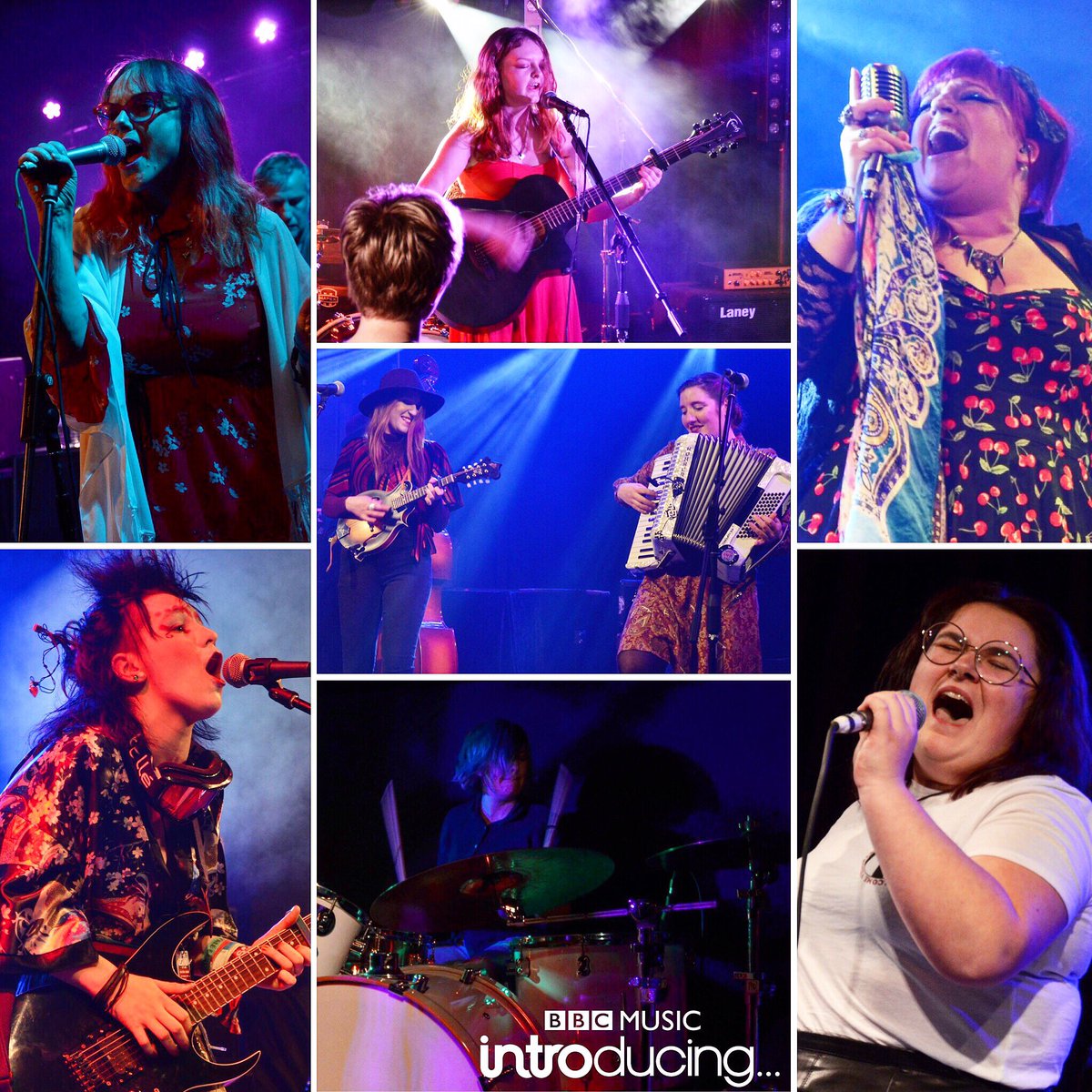 BBC Music Introducing in Guernsey tweet media