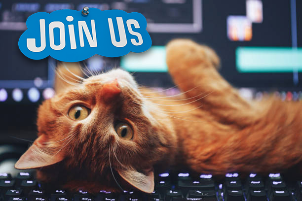 SlickteamFR's tweet photo. 👾Geeking Days 🏋️People First 🤖Techno centric 🤓Come as You geek!
Slickteam recherche un(e) dev Java/JS fullstack!
🖖Rejoins nous, c’est par ici 👉 job@slickteam.fr
https://t.co/t1FRO8i4i8
#geekingdays #peoplefirst #technocentric #geek #fun #developpement #developpeur #fullstack https://t.co/gglhs5c1KW