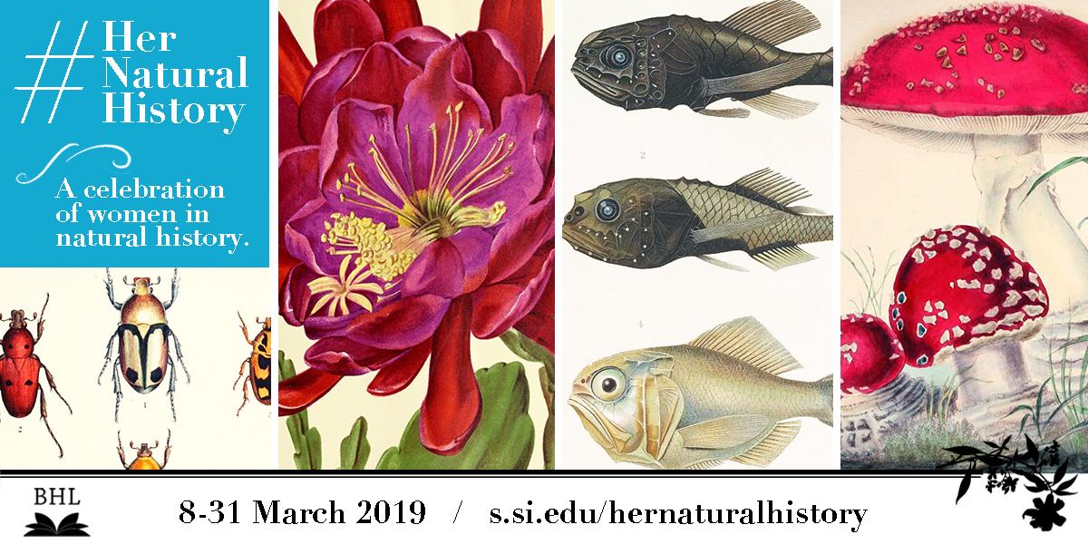 Happy #InternationalWomensDay &amp; welcome to #HerNaturalHistory! Today we launch the international campaign celebrating women in natural history with an all-day social media blitz! Follow along and join us today &amp; all month long! Learn more ➡️ s.si.edu/2Hgn7DL #IWD2019