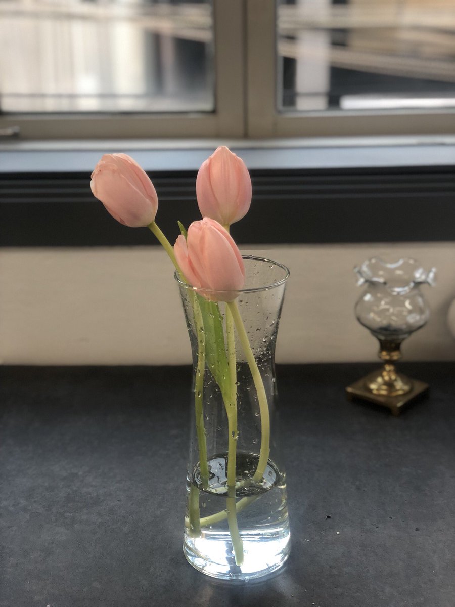 다시로 tweet media