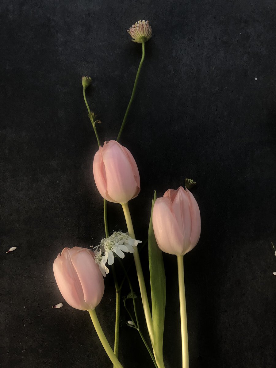 다시로 tweet media