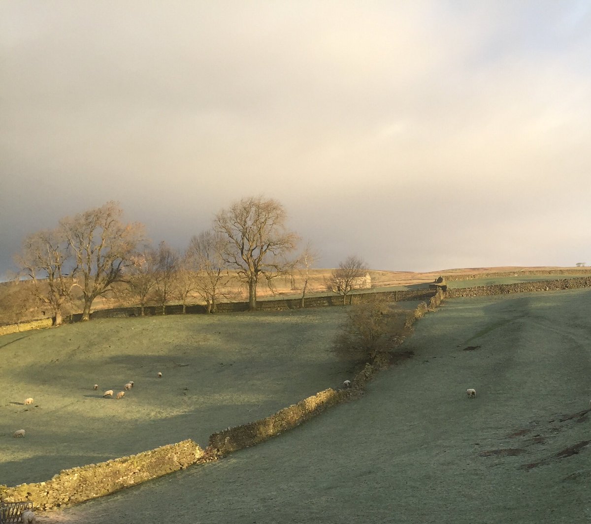 Good morning from a slightly frosty Askrigg in Wensleydale 🙂 #YorkshireDales #wensleydale #askrigg #landscape #