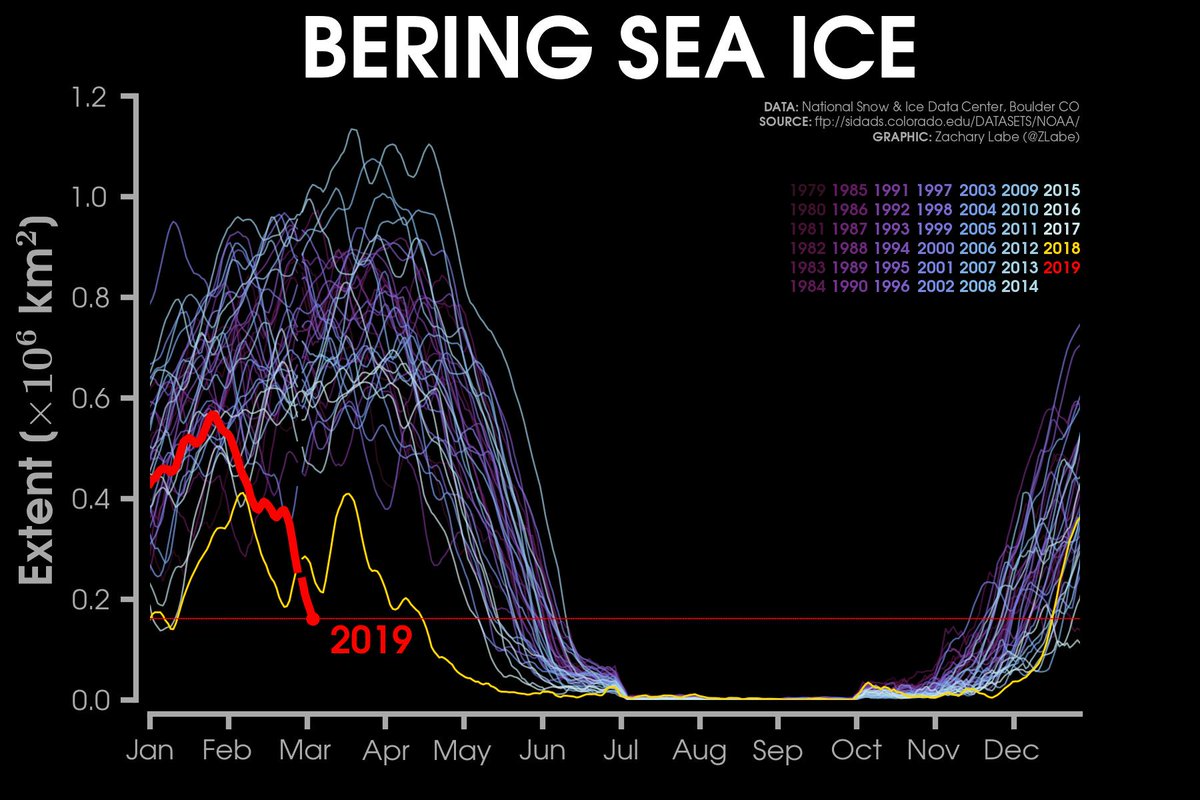 How old will you be in 2025 when the real #ClimateChaos kicks in?

I'll be 49.