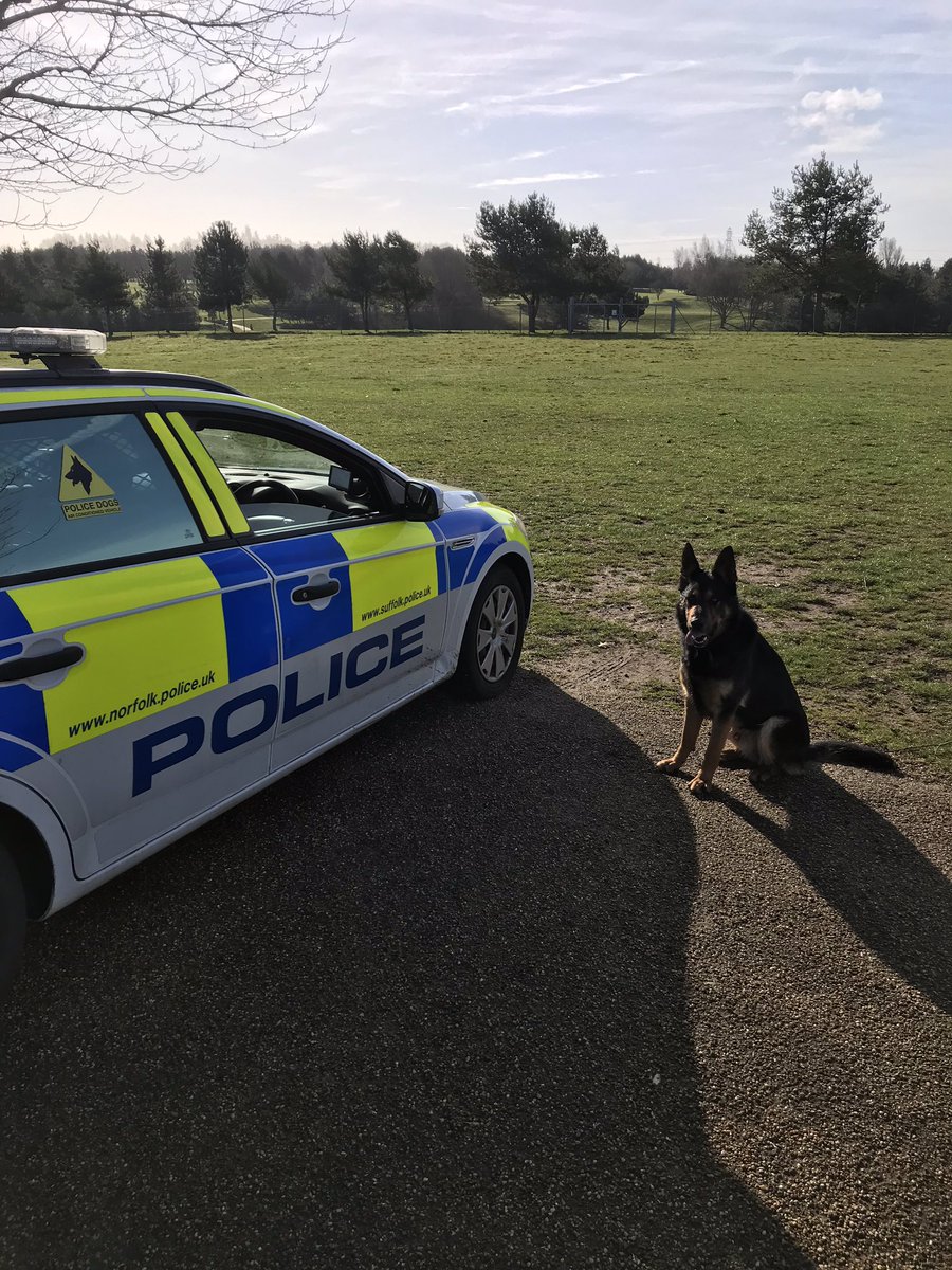 NSPoliceDogs's tweet photo. It’s not just human lives that matter, PD Harry located a stuck lamb this morning on his leg stretch!! Missing for nearly a week, well done Harry 🐕 #53 https://t.co/VHLZ497M1g