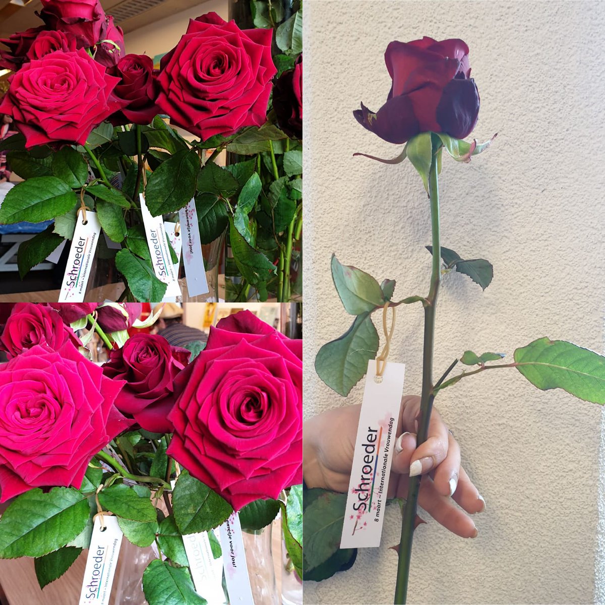 Kringloop_LDK's tweet photo. Every day remind yourself that you are the best! Happy Women's Day!! #WomensDay2019 #Internationalevrouwendag2019 #schroeder #kringloopholland #bhvt https://t.co/NMxDQnksfI