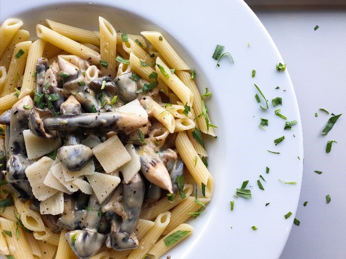 BankenChamp's tweet image. May we introduce you the Chestnut Royale Mushroom! An incredible looking mushroom with an unique flavor and texture. It is best to use the Chestnut Royale Mushroom as a sauce ingredient. Please ask us for more information @BankenChamp