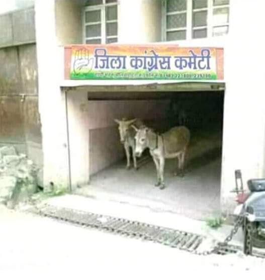 ArunDehingia's tweet photo. @RahulGandhi #HaankInIndia https://t.co/TQcKZYxIpy