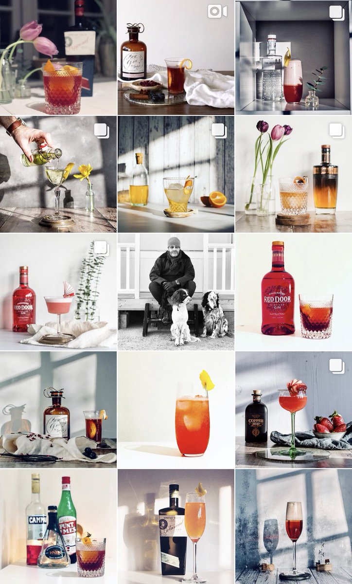 GinThing tweet media