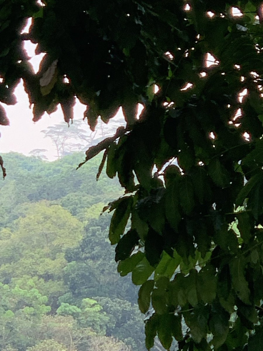 cliffaug's tweet photo. Sitting quietly by myself at the end of the day and pondering. I need to look beyond the immediate to see ahead, even if what lies ahead is not clear. Putting God in the picture. Faith matters. #smota https://t.co/Ri1d9AuQgh