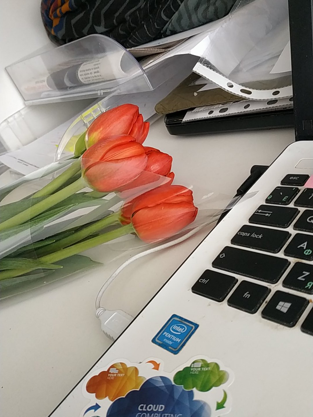 Бубука on Twitter: "Оце у нас колектив.…