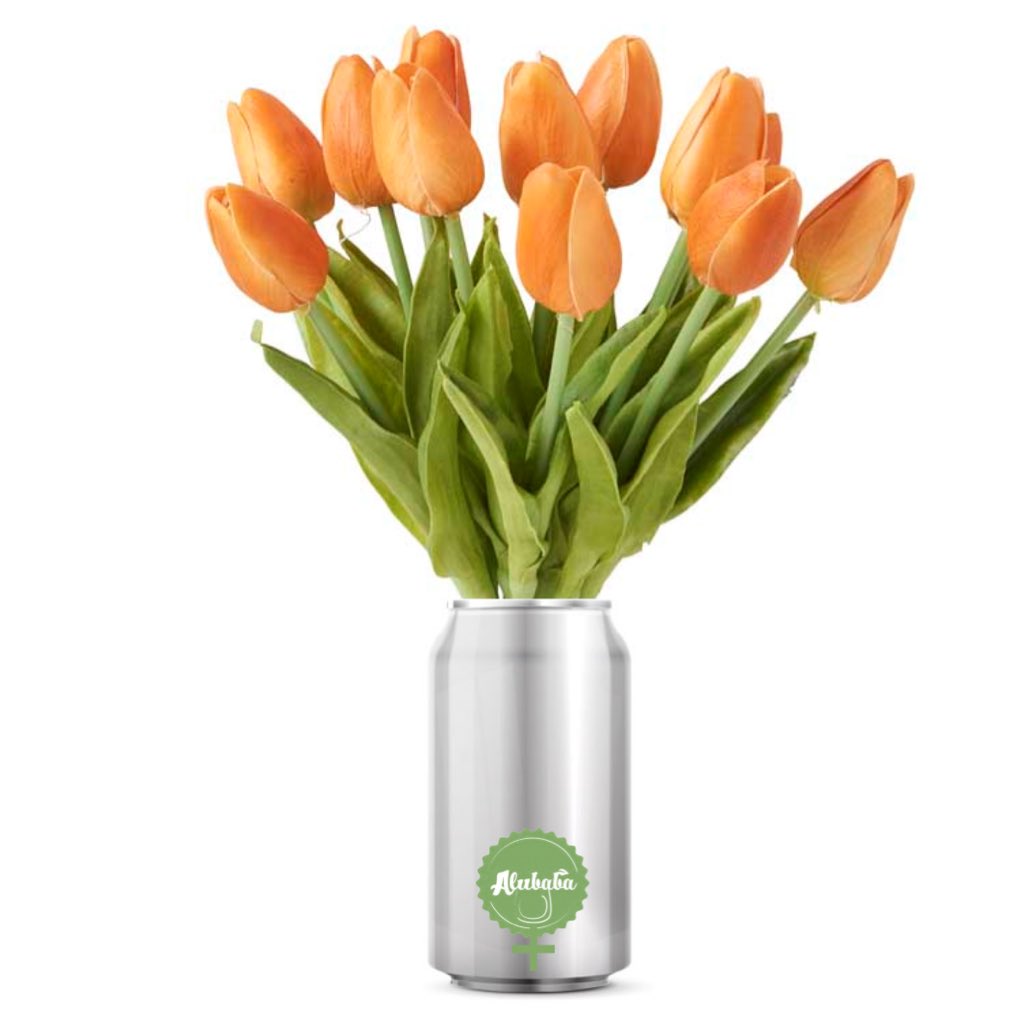 iCanuseCan's tweet photo. Happy Women's Day!   💚 Girl power ! #womensday #march8 #8march #iwd #iwd2019 #womensday2019 #girlpower #girlpower💪 https://t.co/pNztDZJeXc