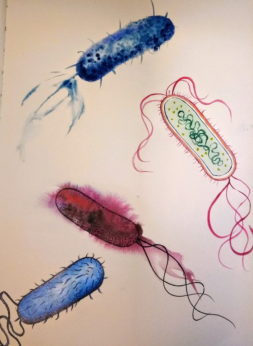 Dr Ellie Jameson tweet media