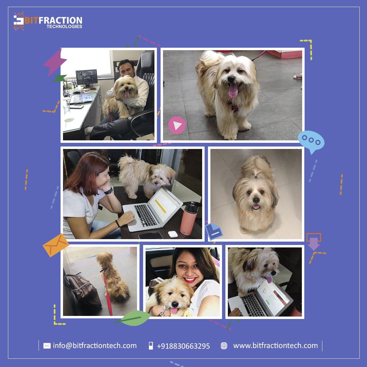 BitfractionTech tweet picture