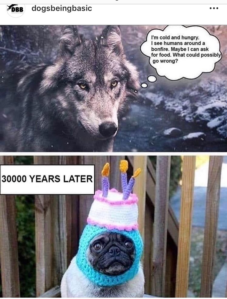 stjwyouthwork's tweet photo. 🤣🤣🤣🤣 #funforfriday https://t.co/SlYDXPzbnH
