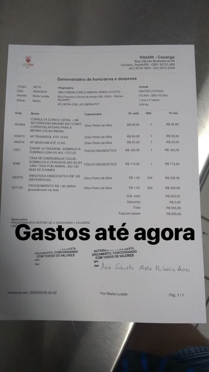 galvãø tweet media