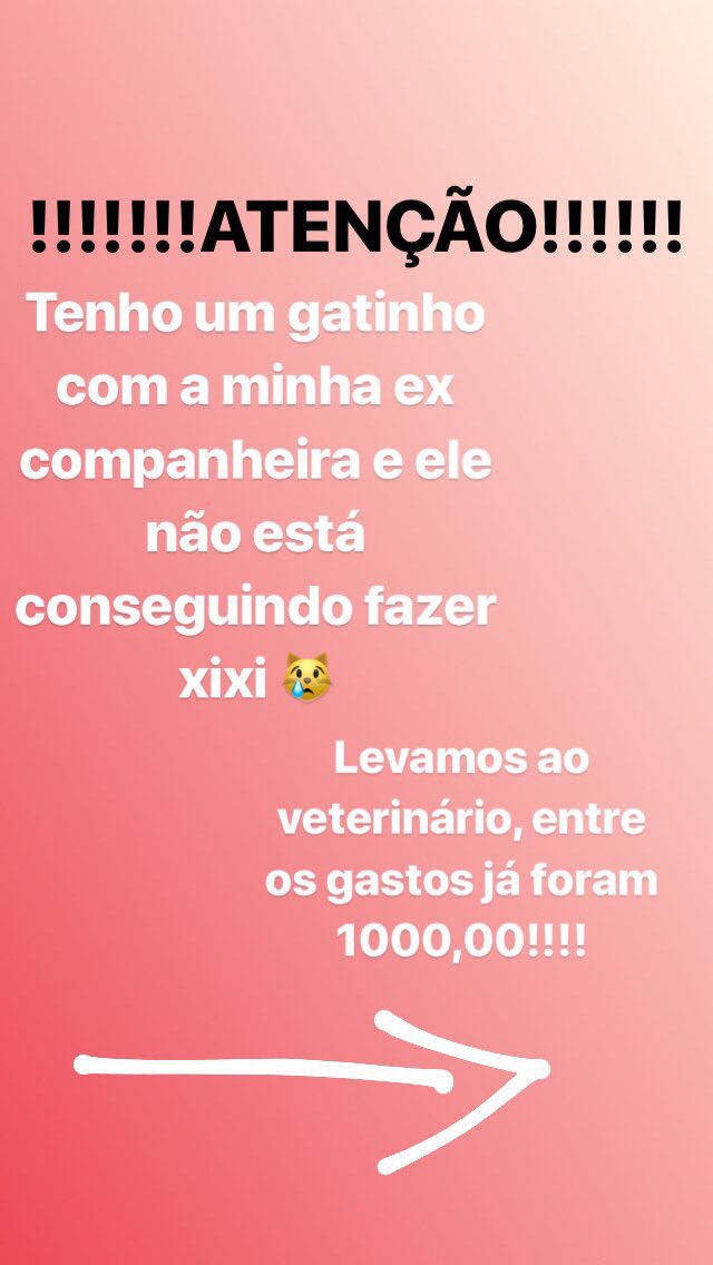 galvãø tweet media