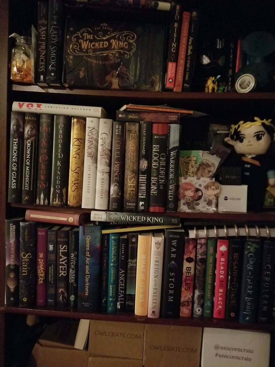 EmmaMustRead's tweet photo. Shelf problems!! I have 3 more books in bound but, no room!! #bookworm #shelfie #bookworldproblems #bibliophile https://t.co/X6QA7ezhDi