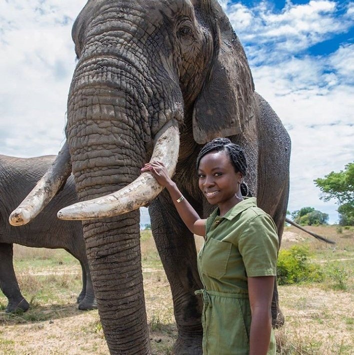 Tourism Business Council Of Zimbabwe tweet media