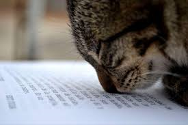 WareTownCouncil's tweet photo. #FactFriday #Books

The word for loving the smell of old books is 'Bibliosmia'

#WareReads #MayorofWare #Ware https://t.co/WjScJvFHiV