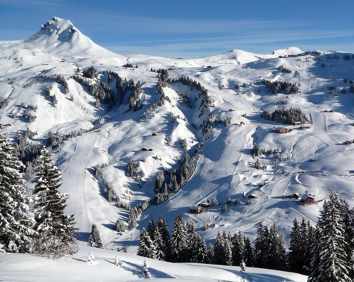 places_2's tweet photo. Ski Resort Damuels-Mellau, Austria 🇦🇹
#skiresort #damuels #myvorarlberg #visitvorarlberg #bregenzerwald #visitbregenzerwald #skiing #damuls #austria
@visitvorarlberg @austriatravel @austriatourism @DamuelsFaschina https://t.co/wf6KyATBED