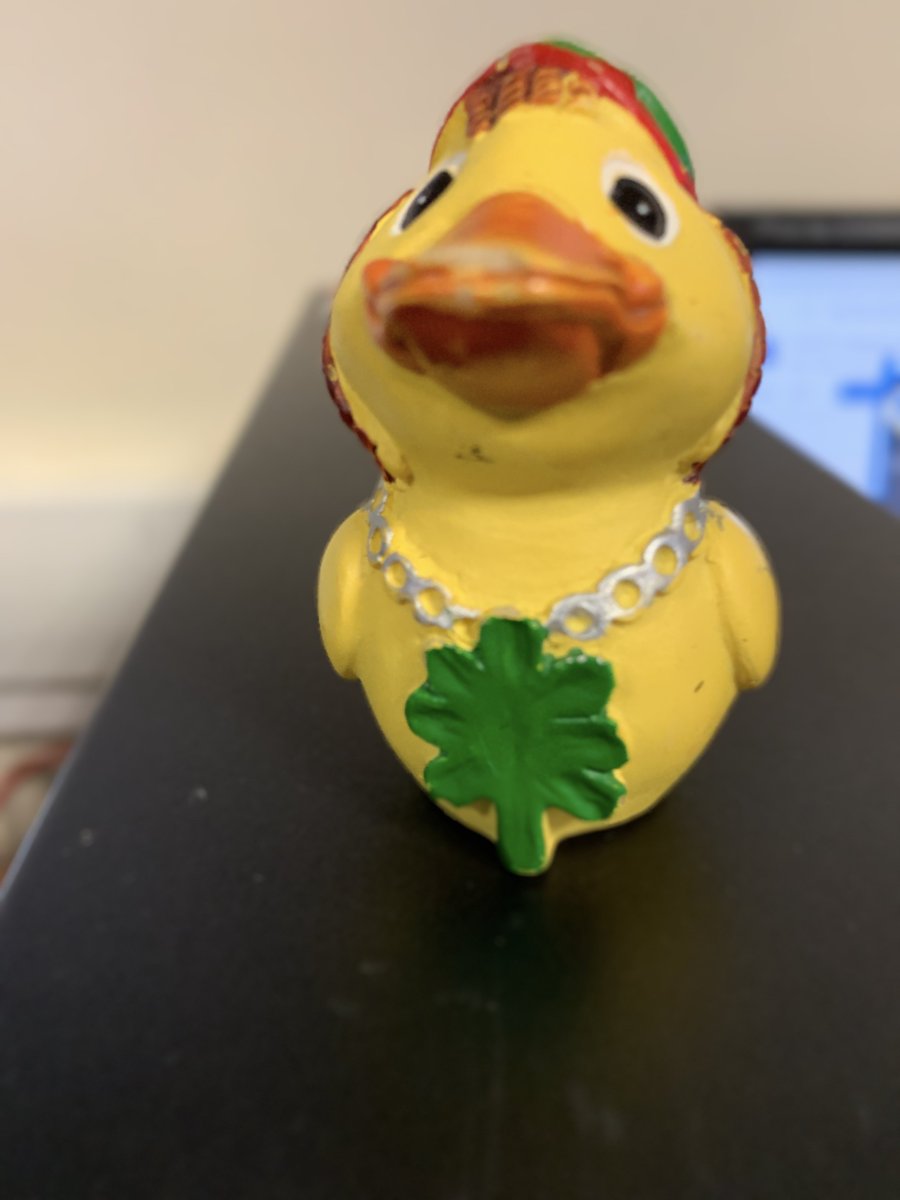 FPScomputing's tweet image. Year 10 are starting to bring their own ducks in for rubber duck debugging. 🦆 "Marley" joined us today 😀 #commitment #gcsecomputing