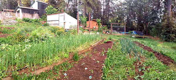 ArmedScotsman's tweet image. 12 Ways To Make An Extra $1000 A Month On A Small Homestead dlvr.it/R0Qr6n #AllArticles #HOWTO