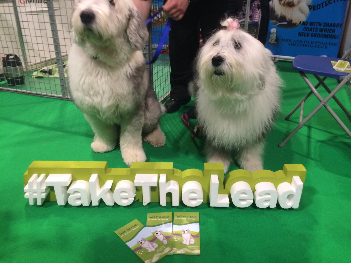 CharlieHell4's tweet photo. Having a super doggy day at #Crufts2019. Here to champion responsible dog walking in the #southdowns  #nationalpark #takethelead https://t.co/1GaNS2x8iR