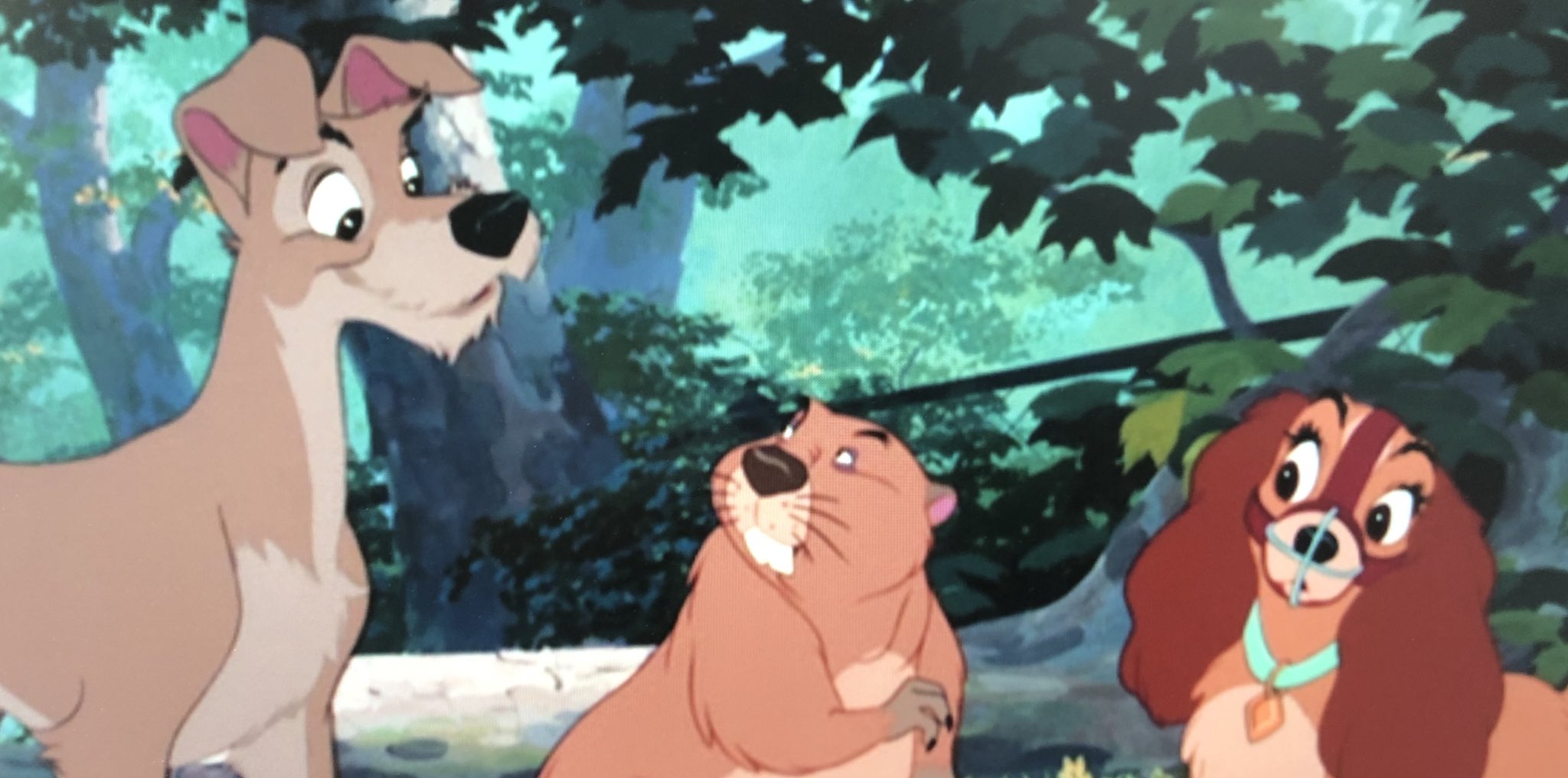 ピモ Ar Twitter わんわん物語の感想 レディちゃんお利口さんなんだけど空回りしまくり このビーバー確かプーさんに出てたやつだ シャム猫ズと親戚のおばさん ｺﾗ 動物飼うなら責任を持って最後まで そういう時代背景を感じた