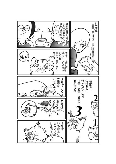 エッセイまんが「ねこを譲る」 