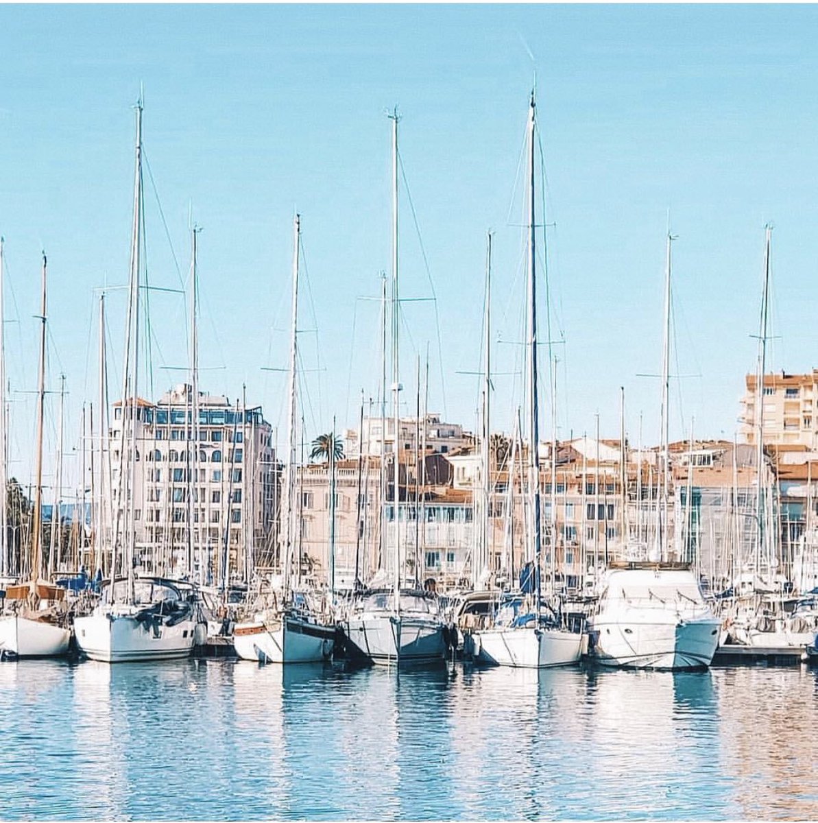 SosYachting's tweet photo. ⚓️CANNES ⚓️ on the #frenchriviera 🌴☀️🌊
Get ready for the next #charter season in the Mediterranean Sea !
👉 Do you need help with completing application for VAT registration of Owning company with the local tax office?
👉 info.france@sosyachting.com
T +33 492 00 43 80
#yachting https://t.co/hK1KS0mHY5