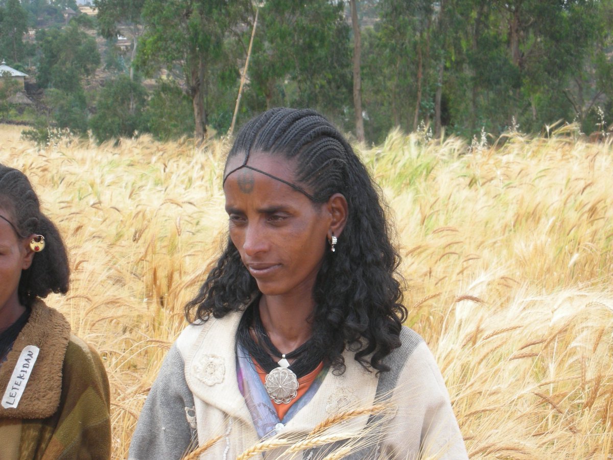 Carlo Fadda tweet media