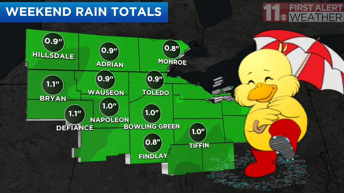 ellynfritzWTOL's tweet photo. Soaking rain will roll in late on Saturday evening. We could pick up an inch in just a few hours! https://t.co/qETpyy59IX
