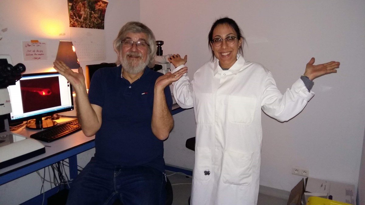 PROTECTED ITN tweet media