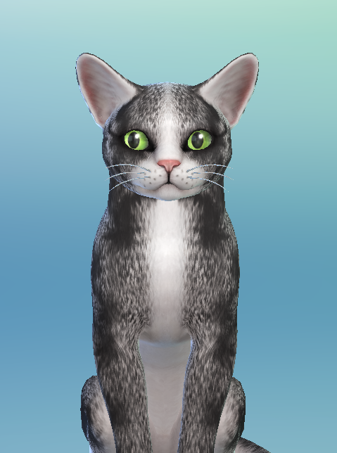 AshariaArt's tweet photo. I've played something with the brush tools in the Cas. What do you think? 🖤#TheSims #TheSims4 #Asharia #AshariaArt https://t.co/Xpe8ba3jSA