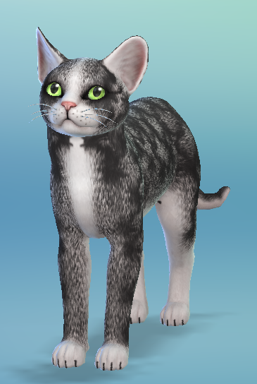 AshariaArt's tweet photo. I've played something with the brush tools in the Cas. What do you think? 🖤#TheSims #TheSims4 #Asharia #AshariaArt https://t.co/Xpe8ba3jSA
