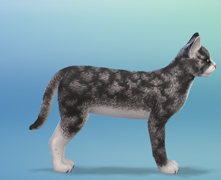 AshariaArt's tweet photo. I've played something with the brush tools in the Cas. What do you think? 🖤#TheSims #TheSims4 #Asharia #AshariaArt https://t.co/Xpe8ba3jSA