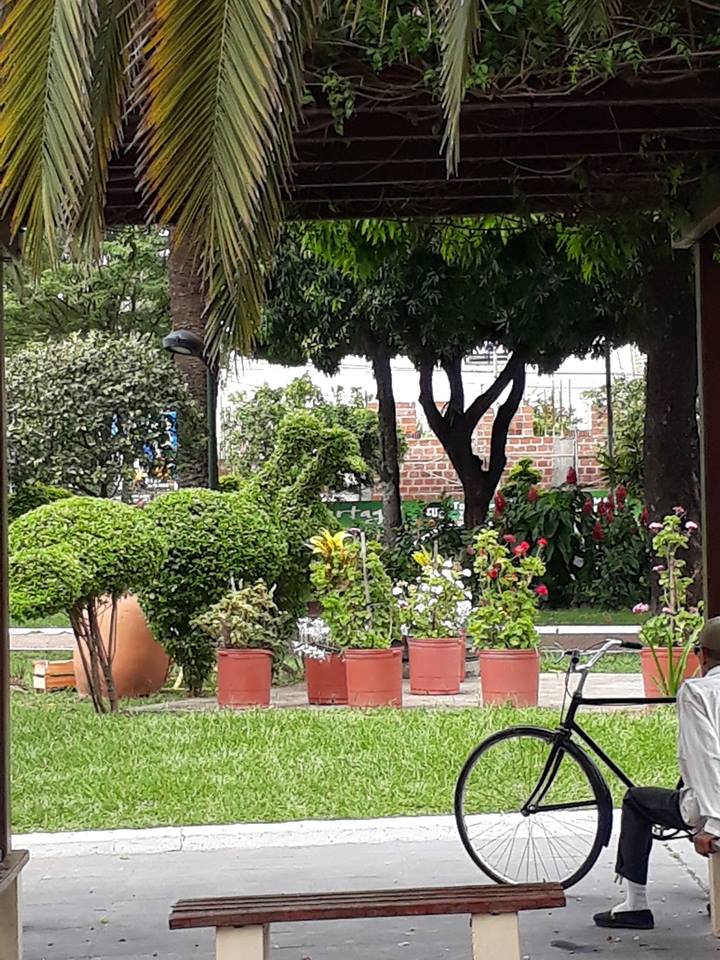MTartagal's tweet photo. Estado del tiempo en la ciudad de #Tartagal

Despejado
Temperatura: 24.6 ºC
Sensación Térmica: 22°
Humedad: 95 %
Presión: 953.3 hPa
Viento: Calma
Visibilidad: 8 Km

ULTIMOS DATOS REGISTRADOS A LAS 08:00 HS. https://t.co/Q6IXFZtTpH