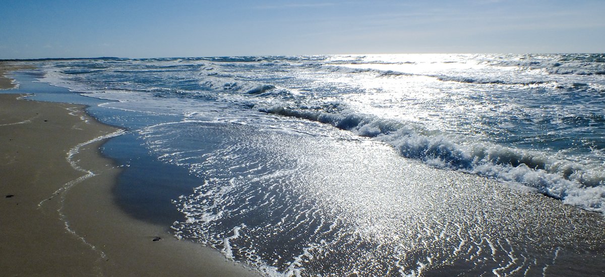 GTK (@GTK_FI) on Twitter photo 2019-03-08 11:35:10 #Geodata about the seabed is needed to build infrastructures. #MarineEnvironment #planning #EMODnet #geofoorumi
bit.ly/2C5wdjg #Geodata about the seabed is needed to build infrastructures. #MarineEnvironment #planning #EMODnet #geofoorumi
bit.ly/2C5wdjg