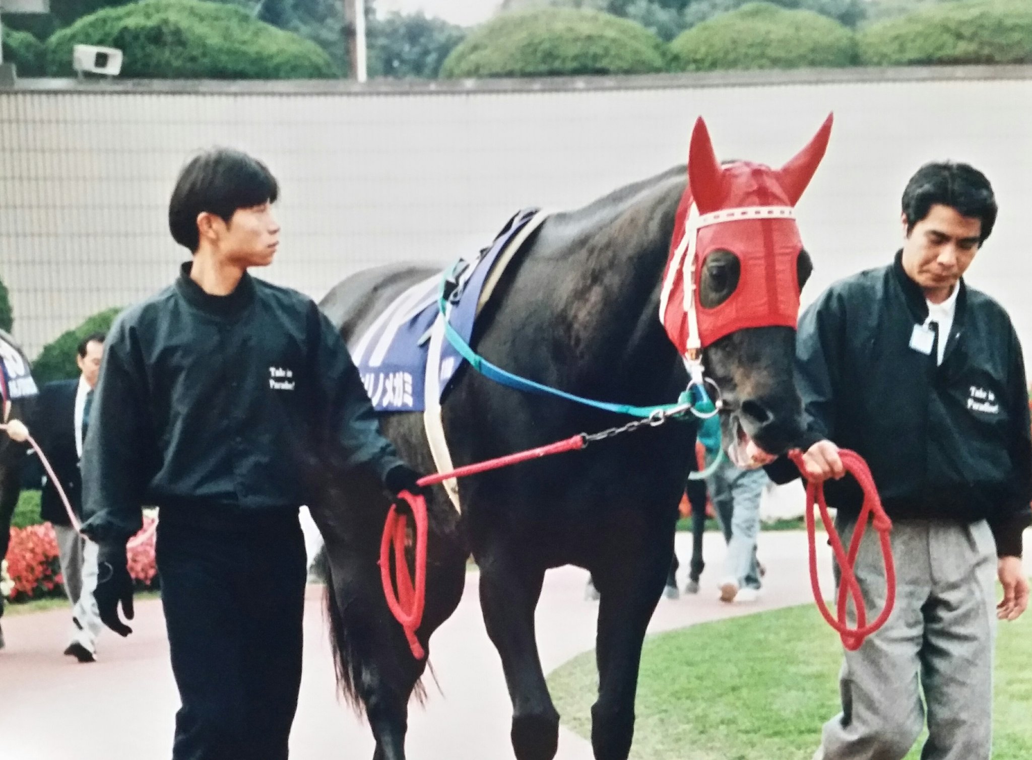 ショウリノメガミページ ショウリノメガミ (Syourinomegami) | 競走馬データ - netkeiba