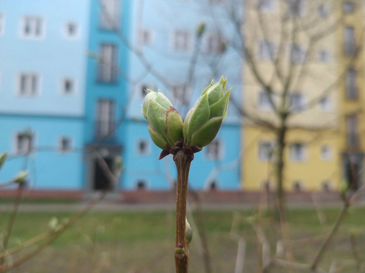 m_hlavac's tweet image. Spring is coming #berlin