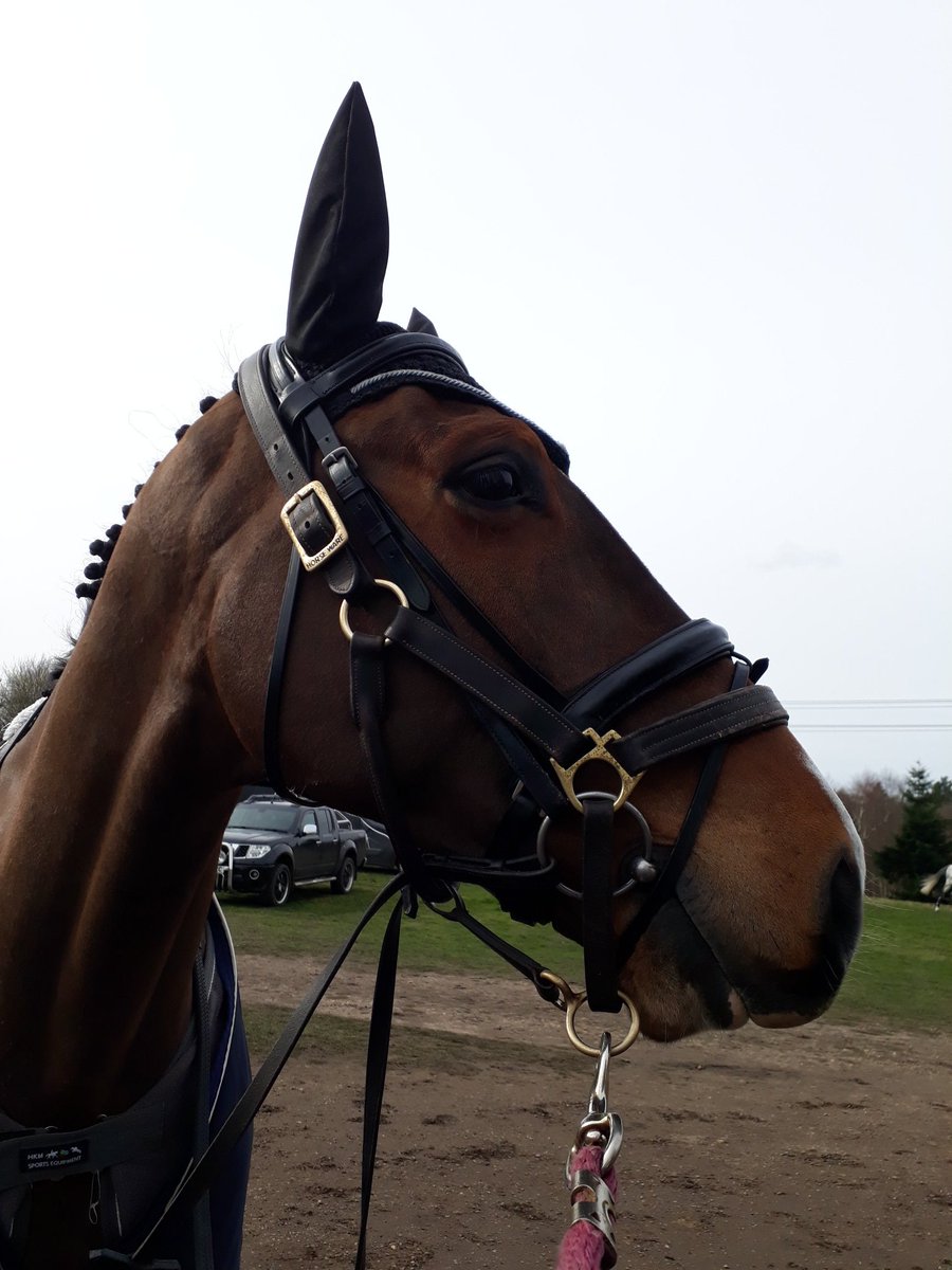 treventing's tweet photo. Getting ready for Dressage with Snap To It here @TweseldownHT #treventing #TeamRowland #EquineHour #hardworkpaysoff #nextseasongoals #eventing https://t.co/XpKwPKUTaM