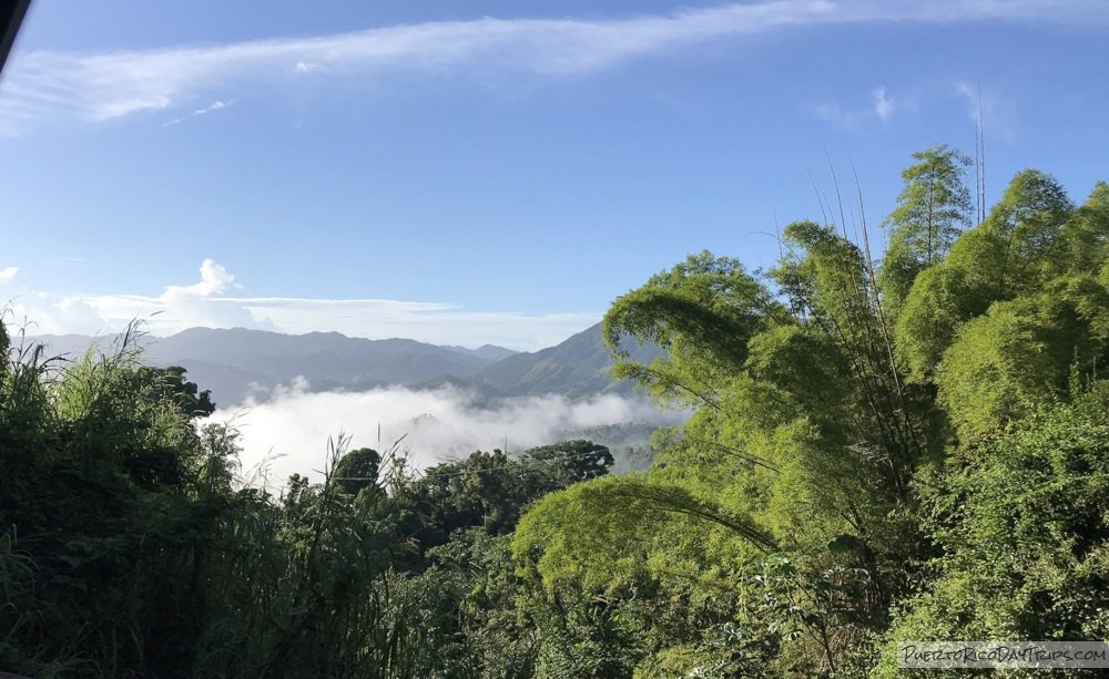 PRDayTrips's tweet photo. Above The Clouds #PuertoRico #EstaEsMiIsla #PicOfTheDay #potd #ttot https://t.co/GsL2SJPbOX