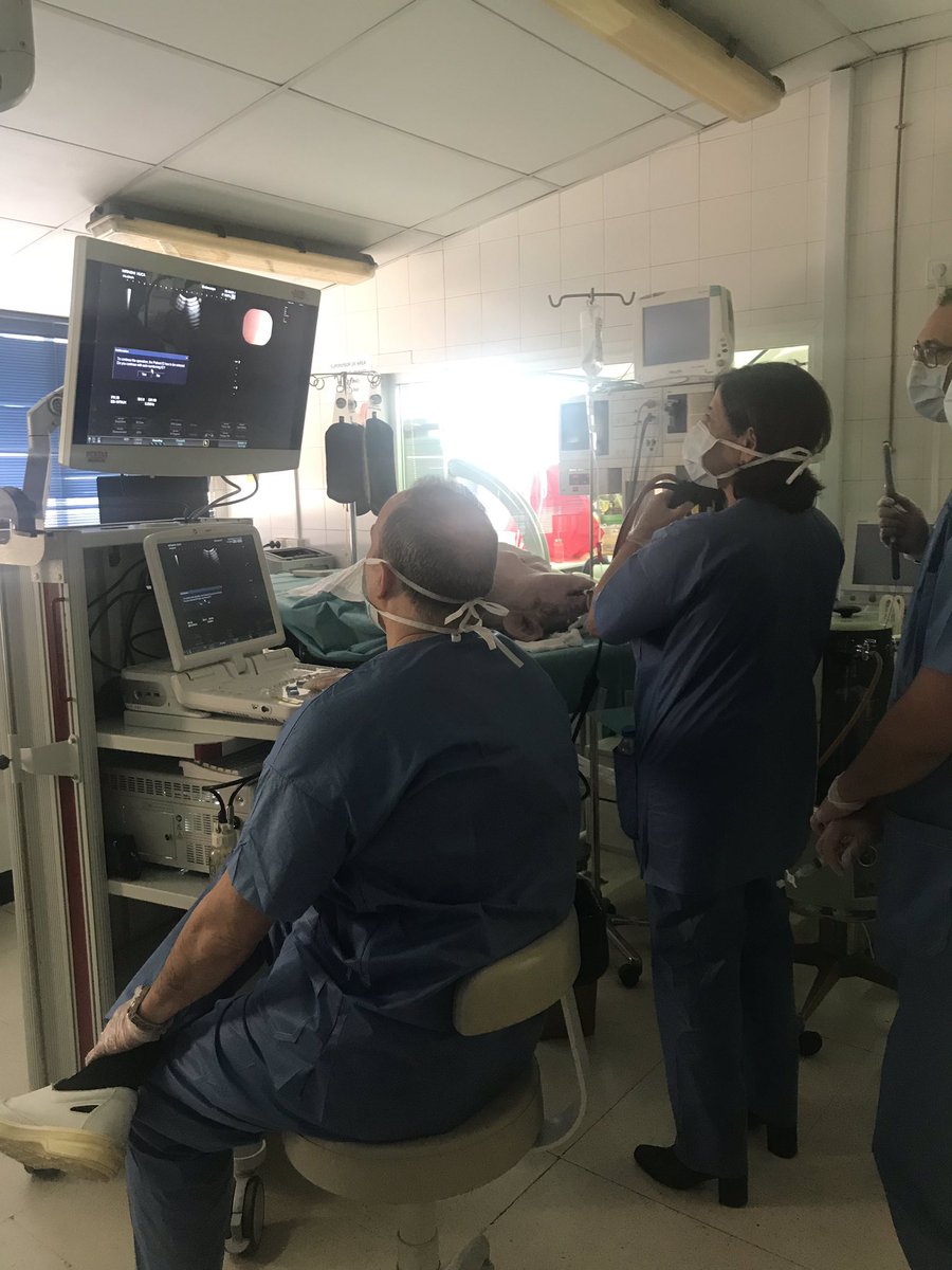 simmedica1's tweet photo. Curso de EBUS en la Fundación Jimenez Dìaz con modelo animal. #Quiron #aeer https://t.co/BSV7Kkamwj