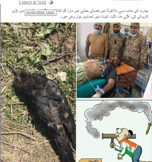 factwatchORG's tweet photo. Pic 1: Bird died when Indian planes dropped payload on a forest in Jabba, near Balakot, before escaping back for home after being challenged by Pak Air Force
Pic 2: IAF statement released today reads Mig 21 crashed in Bikaner, Rajasthan after being hit by a bird
#ScoreSettled https://t.co/FG3FwC4GOp