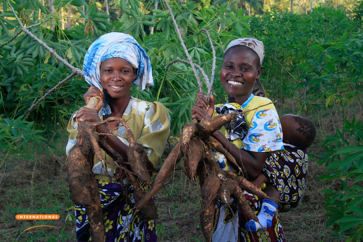 Today we celebrate the women who drive agri-value chains and food systems in Africa.
Women the production drivers! produce 50% of the food,
Women the value chain workers!  66% of the world’s work,
Women the food retailers!
#InternationalWomensDay 
#IWD2019