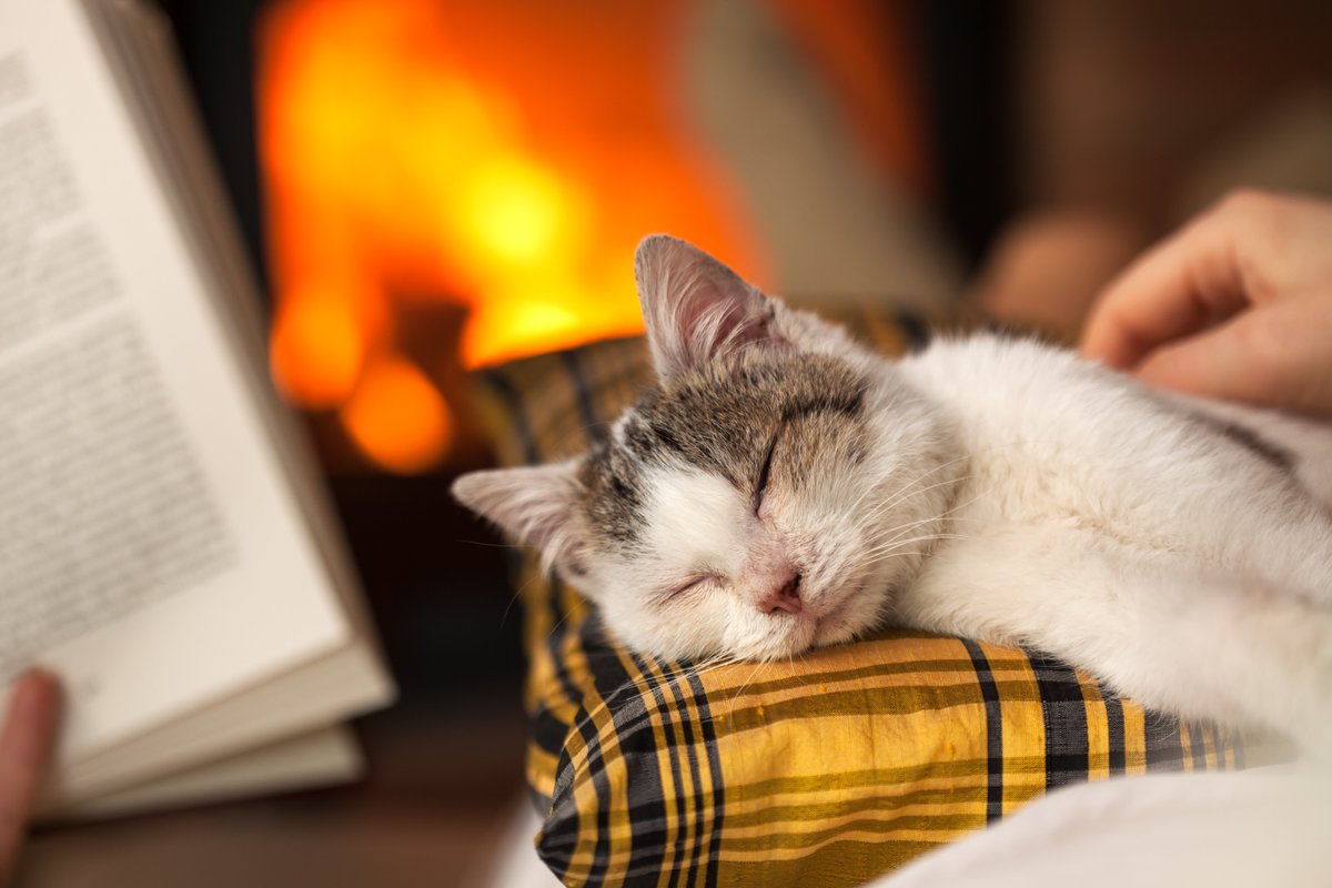 Today is the national day of unplugging! What are​ you going to do today to unplug and unwind? #NationalDayOfUnplugging #unplug #unwind